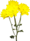 fleur jaune.Cheyenne63 - 無料png アニメーションGIF