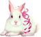 Bunny.Rabbit.White.Pink - png grátis Gif Animado