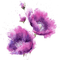Fleurs mauves.Miriella - gratis png animerad GIF