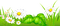 spring grass border daisy flowers - ilmainen png animoitu GIF