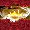 candle - kostenlos png Animiertes GIF