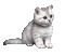 CAT - Darmowy animowany GIF animowany gif