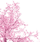 cherry tree  Bb2 - ücretsiz png animasyonlu GIF