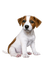 Kaz_Creations Animals Dogs Dog Pup 🐶 - безплатен png анимиран GIF
