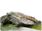 cocodrilo - Free PNG Animated GIF