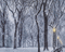 winter landscape tavasz - GIF animasi gratis GIF animasi