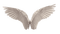 angel wings bp - kostenlos png Animiertes GIF