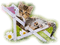 Cat, Katze - безплатен png анимиран GIF