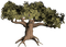 tree - фрее пнг анимирани ГИФ