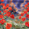 soave background animated poppy field  flowers - Бесплатный анимированный гифка анимированный гифка