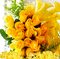 Yellow roses. - 無料のアニメーション GIF アニメーションGIF