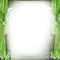soave frame vintage curtain room green - bezmaksas png animēts GIF