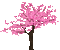 Animated Pink Spring Cherry Tree - GIF animé gratuit GIF animé