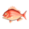 city folk red snapper - Free PNG Animated GIF
