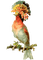 bird  of the Victorian Era, Pelageya - PNG gratuit GIF animé