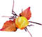 autumn - png gratuito GIF animata