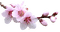 Kaz_Creations Deco  Flowers - gratis png geanimeerde GIF