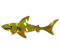 Holo shark yellow - png gratis GIF animado