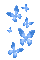 Animated.Butterflies.Blue - By KittyKatLuv65 - Безплатен анимиран GIF анимиран GIF