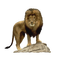 lion.Cheyenne63 - Free PNG Animated GIF