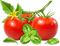tomaten milla1959 - png gratis GIF animasi