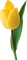 Kaz_Creations Deco Flowers Tulips Flower - PNG gratuit GIF animé