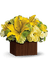 Kaz_Creations  Flowers Vase Plant - gratis png geanimeerde GIF