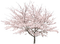 Pink.Arbre.Tree.Cherry blossom.Victoriabea - png gratuito GIF animata