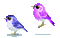 Birds - Jitter.Bug.Girl - Bezmaksas animēts GIF animēts GIF