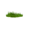 kikkapink deco scrap grass green - gratis png geanimeerde GIF