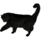 Kaz_Creations Cats Kittens Cat Kitten - bezmaksas png animēts GIF