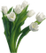 квіти - zadarmo png animovaný GIF