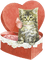 cat chat katze animal box - Ücretsiz animasyonlu GIF