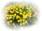 primavera - безплатен png анимиран GIF