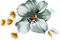 Blume - GIF animé gratuit