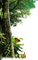 bosque - δωρεάν png κινούμενο GIF