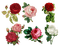 Fleurs du printemps - gratis png animerad GIF