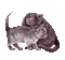 Nina cat - 無料のアニメーション GIF アニメーションGIF