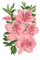kwiaty - bezmaksas png animēts GIF