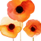 flower fleurs blumen red - бесплатно png анимированный гифка