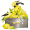Lemon.Citron.Limón.Bird.Victoriabea - gratis png animerad GIF