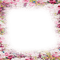 kikkapink vintage flowers frame - 免费PNG 动画 GIF