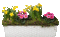 Blumenkasten - Gratis animerad GIF animerad GIF