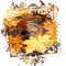 autumn - besplatni png animirani GIF