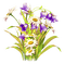 Flowers.Purple.White.Yellow - PNG gratuit GIF animé
