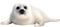 Seal.White