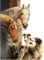 horses and dogs - gratis png animerad GIF