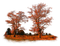 jesień - Free PNG Animated GIF
