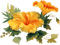 fleur orange.Cheyenne63 - ücretsiz png animasyonlu GIF