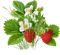 Tournesol94 fruit - бесплатно png анимированный гифка